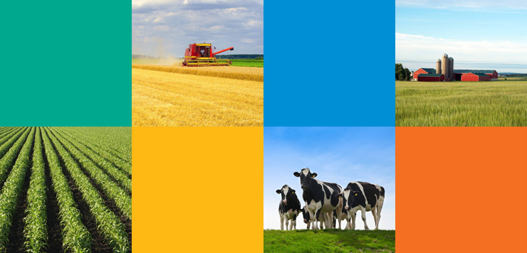 Technicien/ne comptable - Agrigo Conseils inc. Technicien/ne comptable - Agrigo Conseils inc.
