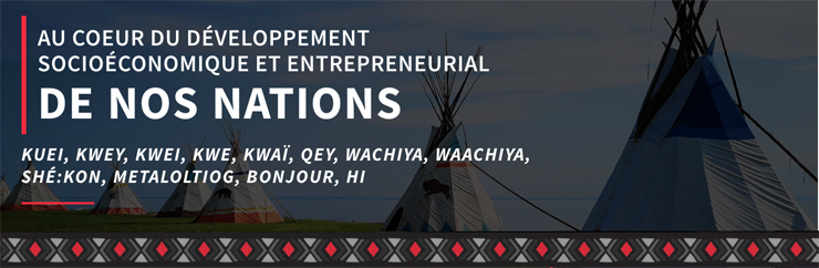 RESPONSABLE DES FINANCES pour la CDEPNQL