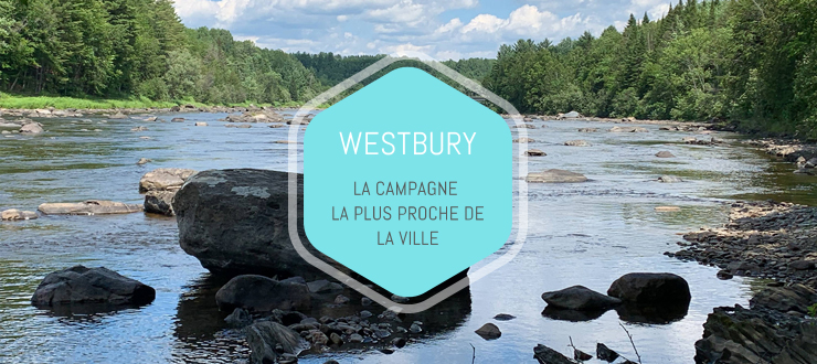 À propos de la Municipalité du Canton de Westbury